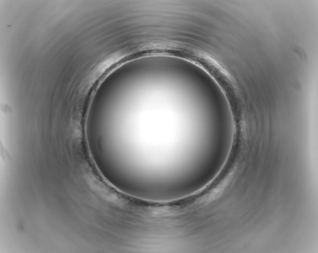 X0000091171025200708091200