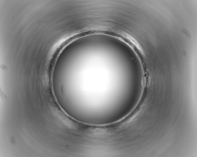X0000091171027200708091200