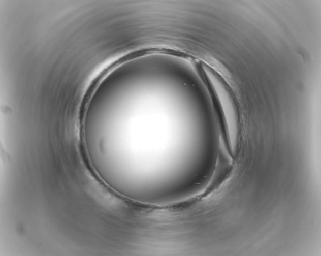 X0000091171028200708091200