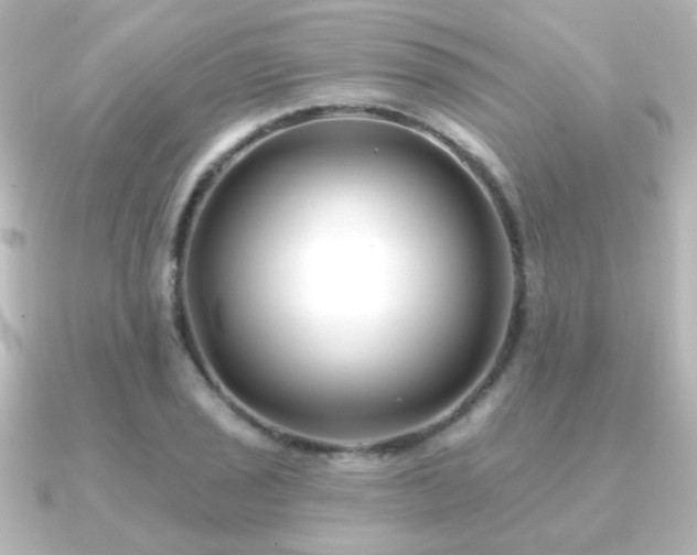X0000091171029200708091201