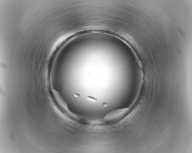 X0000091171030200708091201