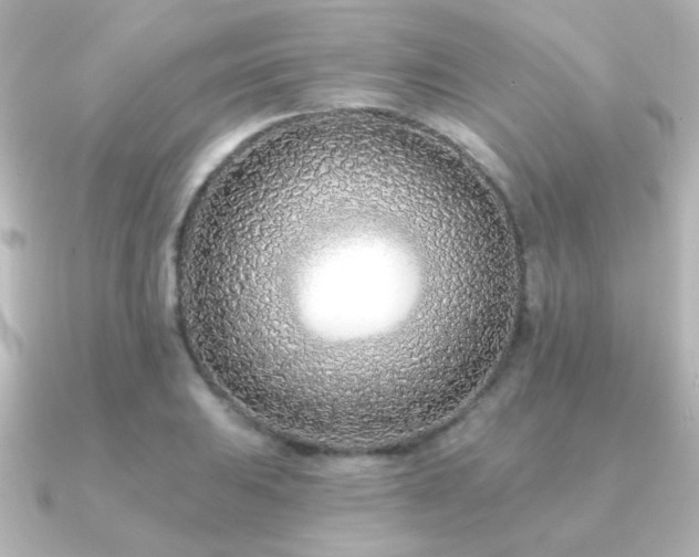 X0000091171031200708091201