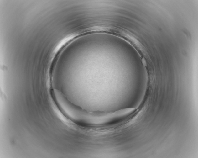 X0000091171034200708091201