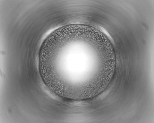 X0000091171035200708091201
