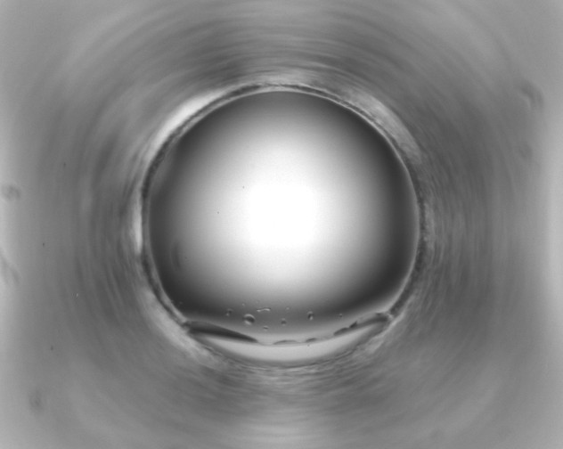 X0000091171036200708091201