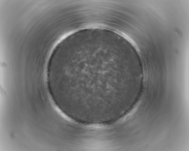 X0000091171037200708091201