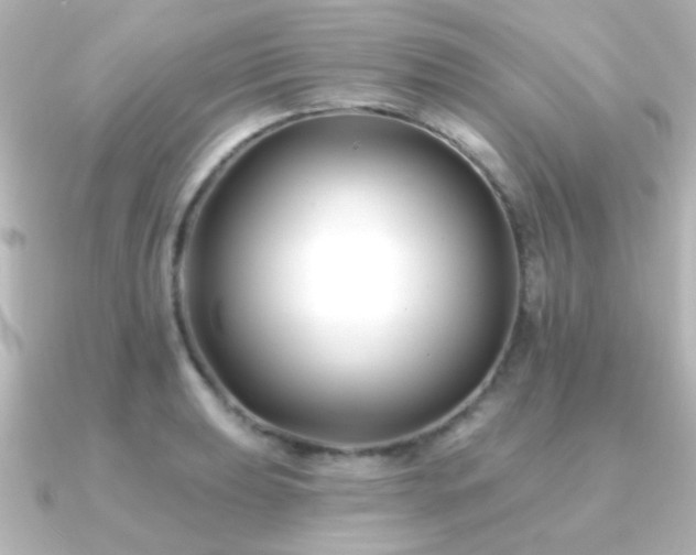 X0000091171039200708091201