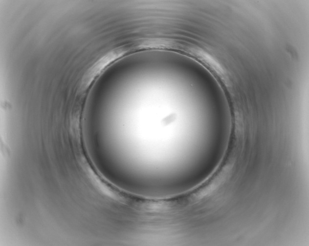 X0000091171041200708091201