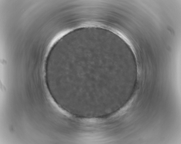 X0000091171045200708091201