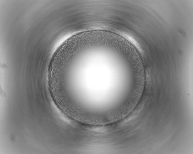X0000091171047200708091201