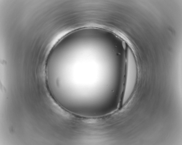 X0000091171048200708091201
