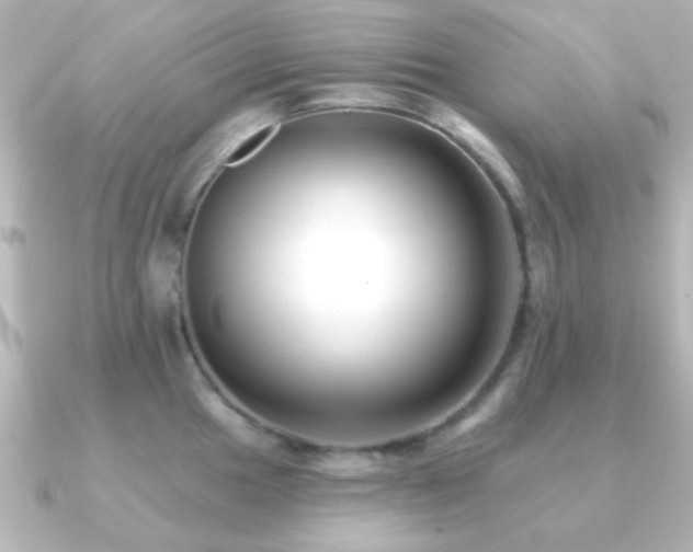 X0000091171049200708091201