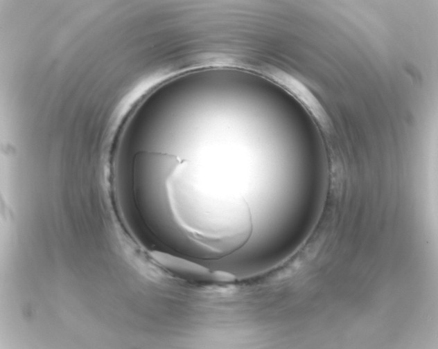 X0000091171051200708091201