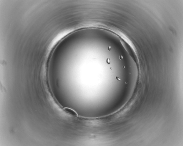 X0000091171053200708091201