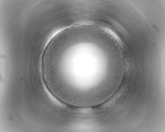 X0000091171055200708091201