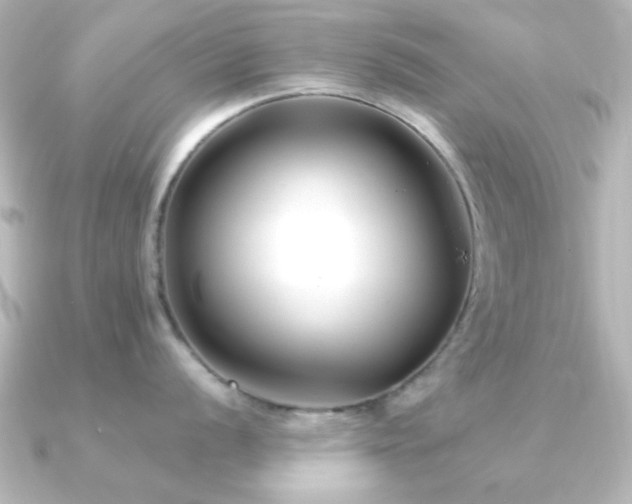 X0000091171056200708091201