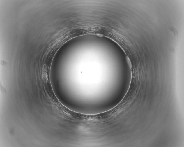 X0000091171058200708091200