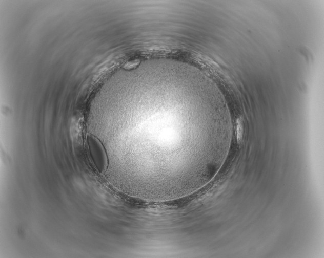 X0000091171059200708091200