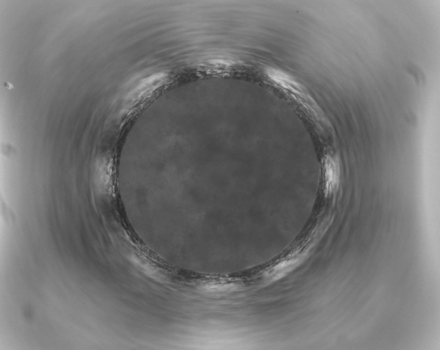 X0000091171060200708091200