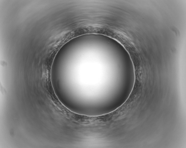 X0000091171061200708091200