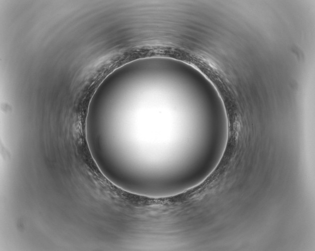 X0000091171062200708091200