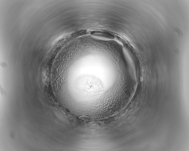 X0000091171063200708091200