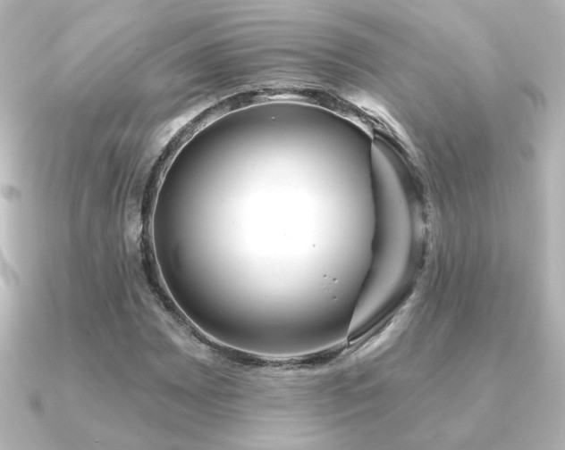 X0000091171065200708091200