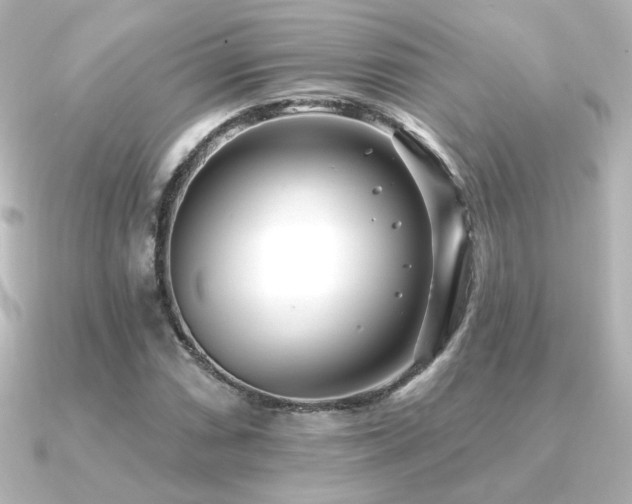 X0000091171066200708091200