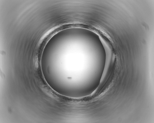 X0000091171069200708091200