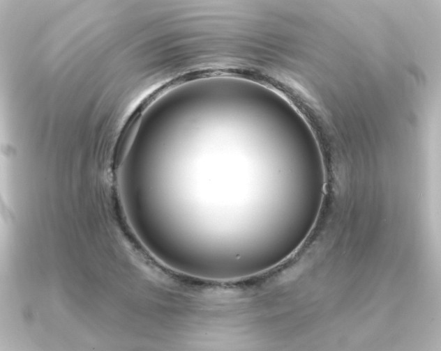 X0000091171073200708091200