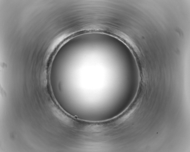 X0000091171075200708091200