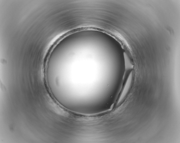 X0000091171076200708091200
