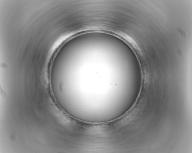 X0000091171078200708091200