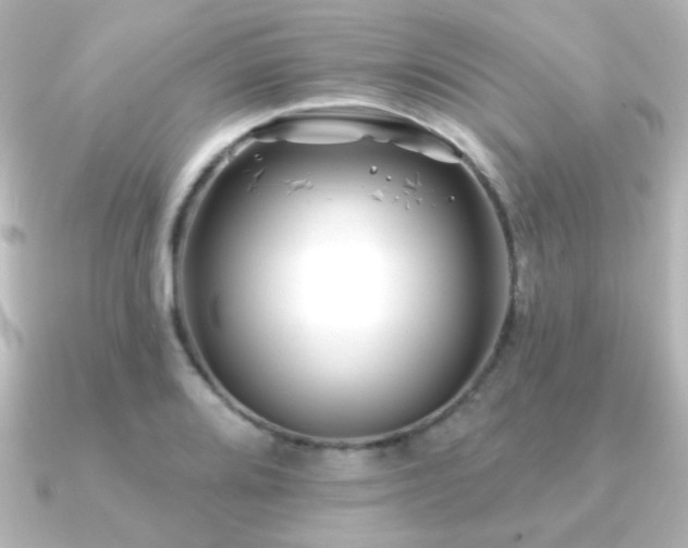 X0000091171080200708091200