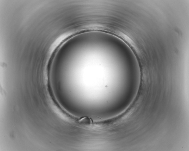 X0000091171082200708091200