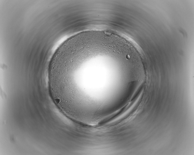 X0000091171083200708091200