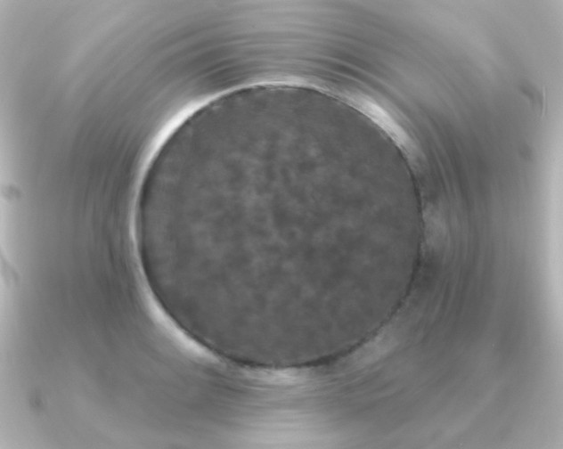 X0000091171084200708091200