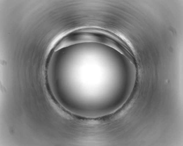 X0000091171085200708091200
