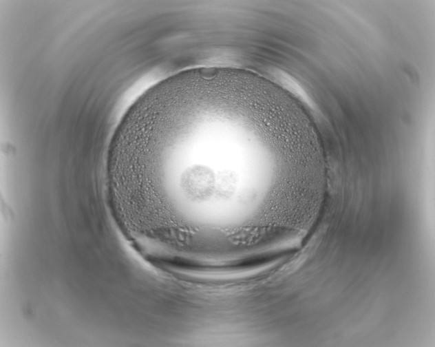 X0000091171087200708091200