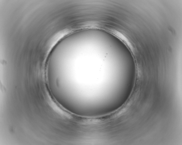 X0000091171090200708091200