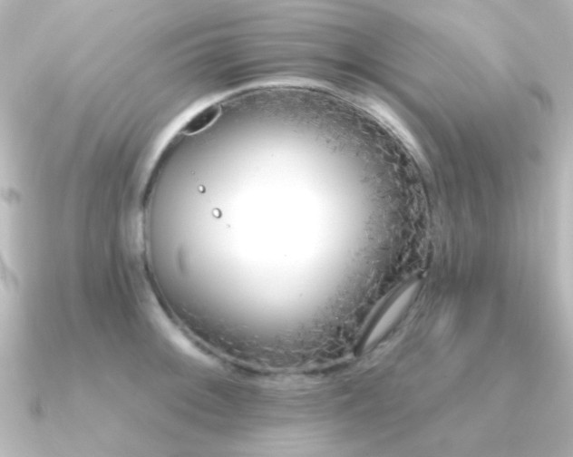 X0000091171092200708091200