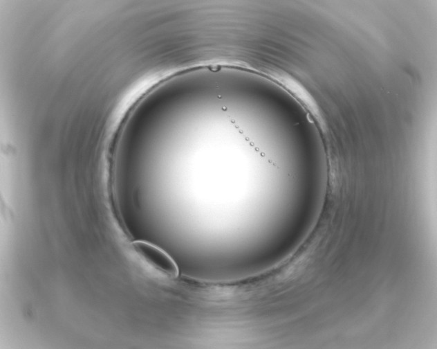 X0000091171096200708091200