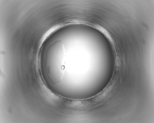 X0000091171098200708091200