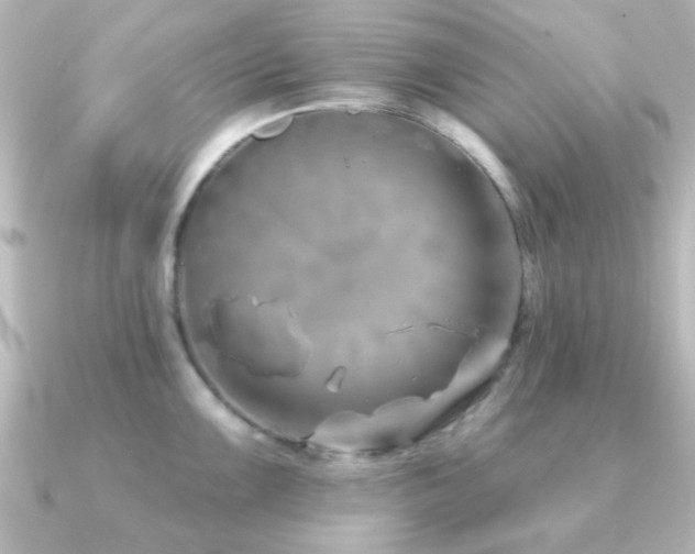 X0000091171099200708091200