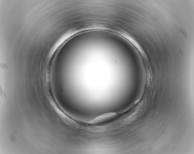 X0000091171101200708091200