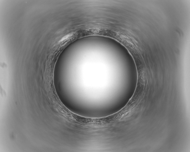 X0000091171105200708091159