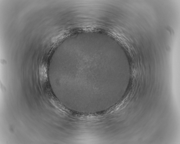 X0000091171106200708091159