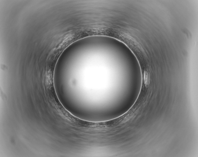 X0000091171107200708091159