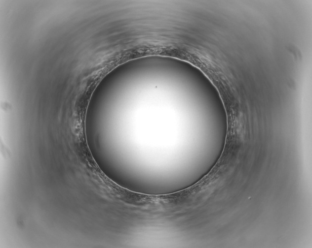 X0000091171109200708091159