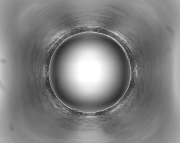 X0000091171110200708091159
